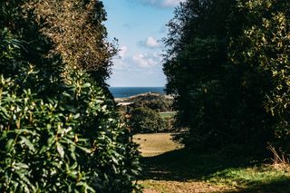 绿色灌木丛间的海洋照片