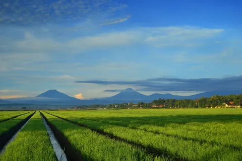 景观, 山, 农场, 令人惊叹, 蓝色, 自然, 美丽, 山蓝 景观, 山, 农场, 令人惊叹, 蓝色, 自然, 美丽, 山蓝