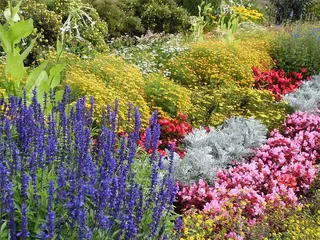 花坛、花园、温泉花园、植物、花朵、自然、黄色、紫色
