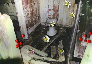 在英国，吉斯特，破碎，花朵，废弃，木质材料，没有人，植物