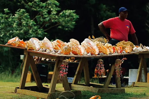 站在贝壳展示旁边的人