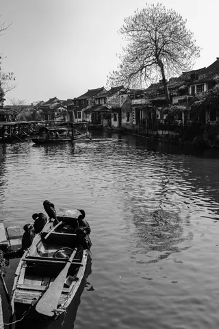 江南、鱼鹰、影子、黑白、古宅、水、建筑、建筑