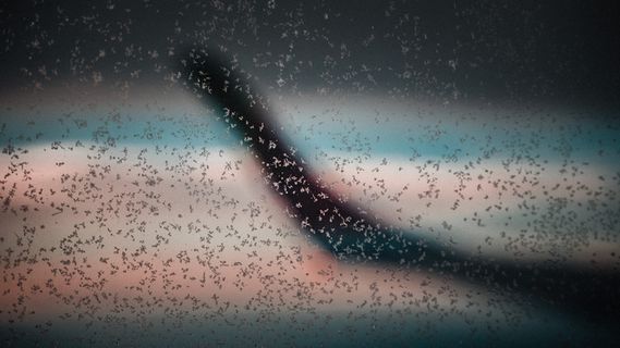 摩洛哥，卡萨布兰卡，玻璃，水，冷，飞行，飞行，喷气机