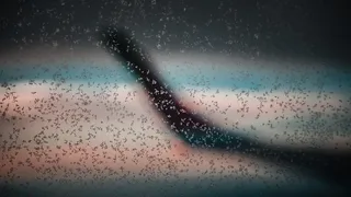 摩洛哥，卡萨布兰卡，玻璃，水，冷，飞行，飞行，喷气机