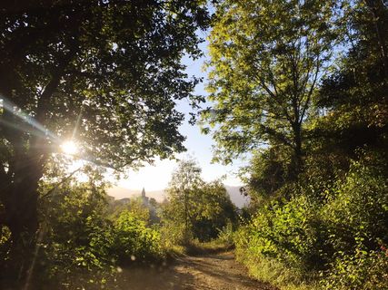 日落，地平线，太阳，云，光，自然，夏天，山脉