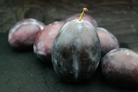葡萄果,真李子,李子,大的,大的,水果,梅子 葡萄果,真李子,李子,大的,大的,水果,梅子