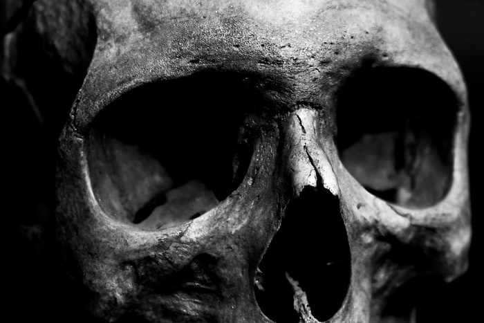 头骨，人类，恐怖，死亡，人，解剖学，头部，死亡