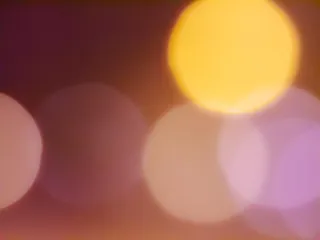 瑞典，卡尔斯塔，pigoff摄影，离焦，失焦，温柔，温柔，黄色