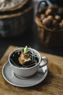 用核桃和金针剪成的小苗 用核桃和金针剪成的小苗