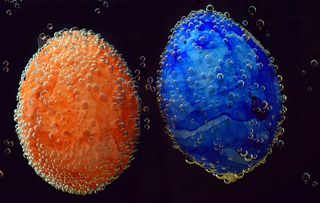 鸡蛋, 复活节, 多彩, 水下, 颜色, 染鸡蛋, 沉浸式, 打击