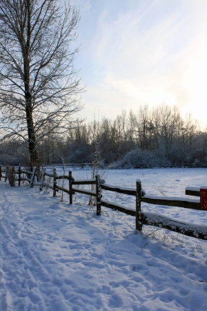 冬天，风景，雪，冬天，篱笆，散步，自然，寒冷