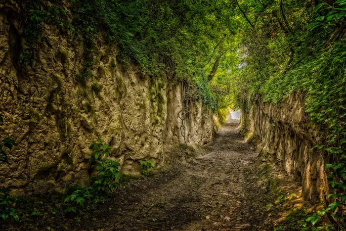 窄路，路，森林画，客场，汉森，凯瑟斯图尔，洛舍韦格，胡同