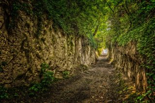 窄路，路，森林画，客场，汉森，凯瑟斯图尔，洛舍韦格，胡同