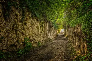 窄路，路，森林画，客场，汉森，凯瑟斯图尔，洛舍韦格，胡同