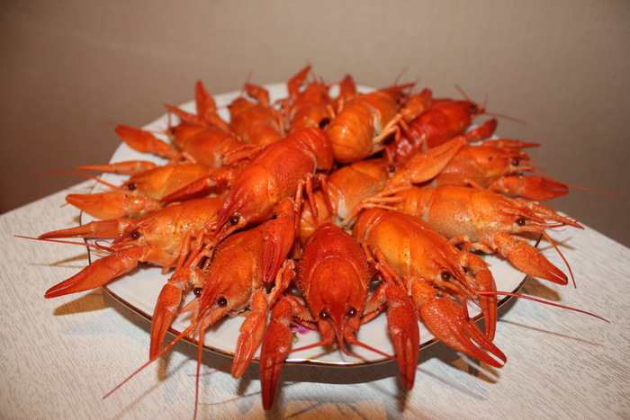 小龙虾，水煮小龙虾，红小龙虾，食品，开胃菜，海鲜，甲壳类动物，食品和饮料
