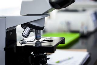 特写、照片、白色、显微镜、实验室、实验、测试、化学