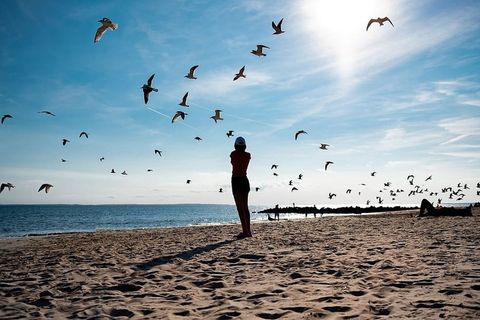 冒险、户外、dom、探索、旅行、探索、非闪电、富士电影