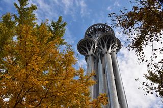 北京，奥运会，地标，摩天大楼，背景，蓝天，植物，秋天