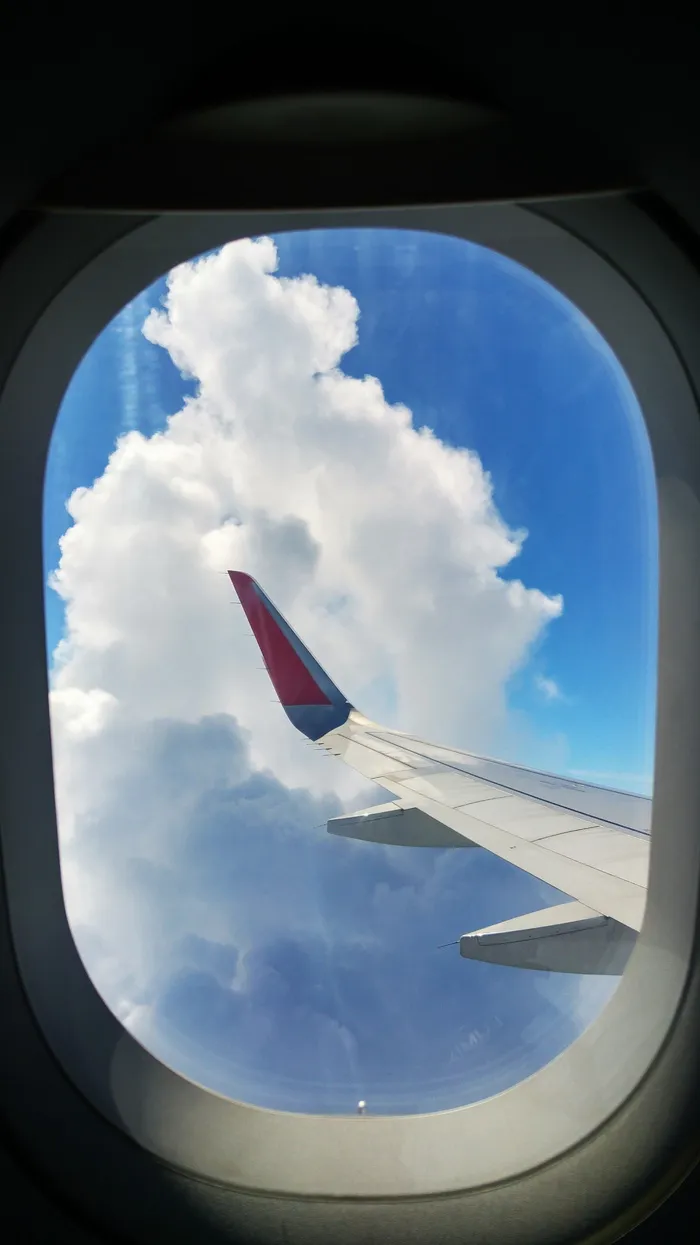 飞机，窗户，飞行，飞机，高度，天空，云，飞行