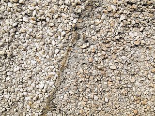 碎石、土路、道路、地毯、地面、卵石、岩石、碎石