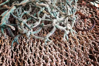 网，绳索，捕鱼，海洋，渔网，网，结，航海