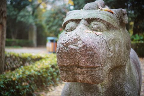 南京，石头，雕塑，雕像，艺术和工艺，表现，工艺，人类表现