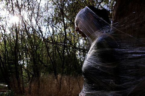 窒息，孤独的飞机，塑料，帮助，树，植物，白天，森林