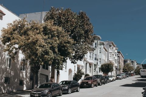 车辆附近的绿树