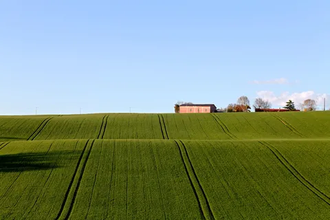 田地、农业、农场、景观、草地、自然、狂欢、图卢兹