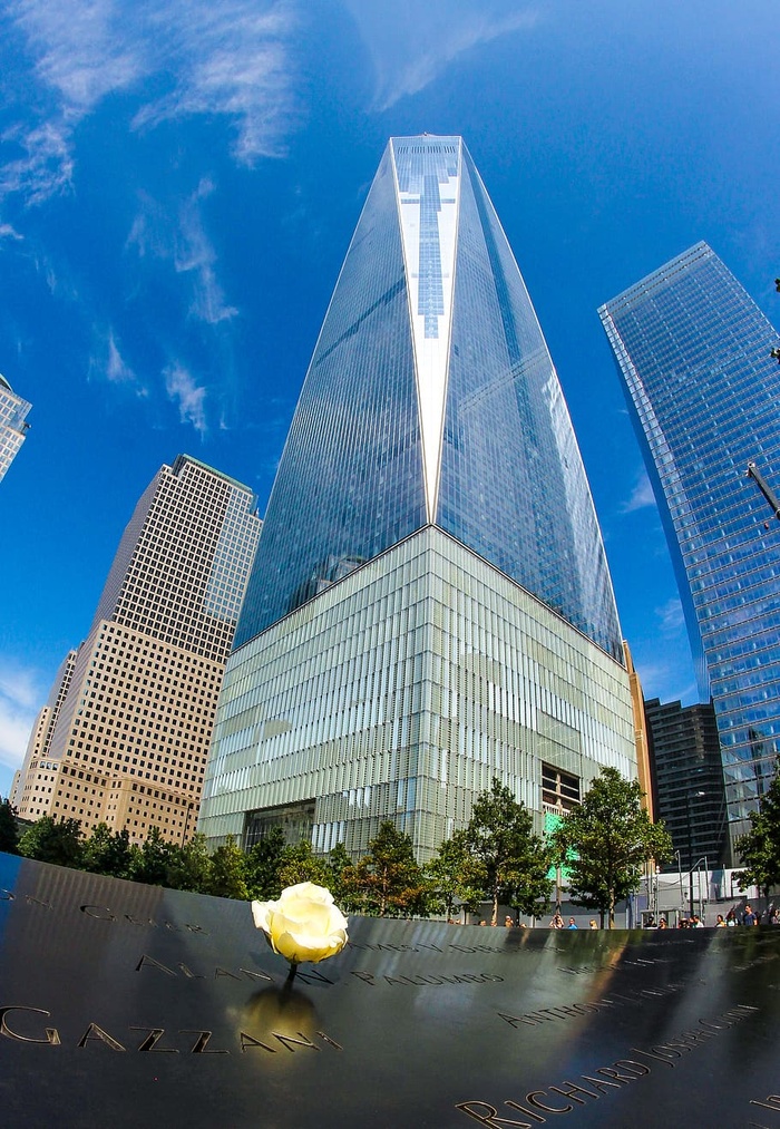 纽约，一个世界贸易中心，美国，双子塔，纽约市，纽约，花卉，夏天