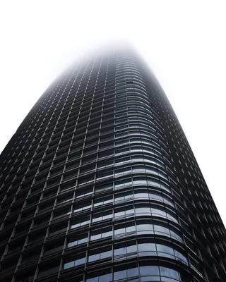 旧金山，salesforce tower，美国，bandw，fog，黑白，建筑，建筑外观