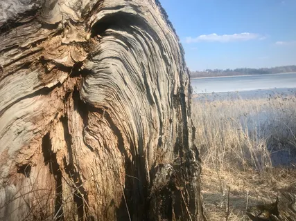 自然，户外，悬崖，森林，山，切里门特，俄罗斯，无名路