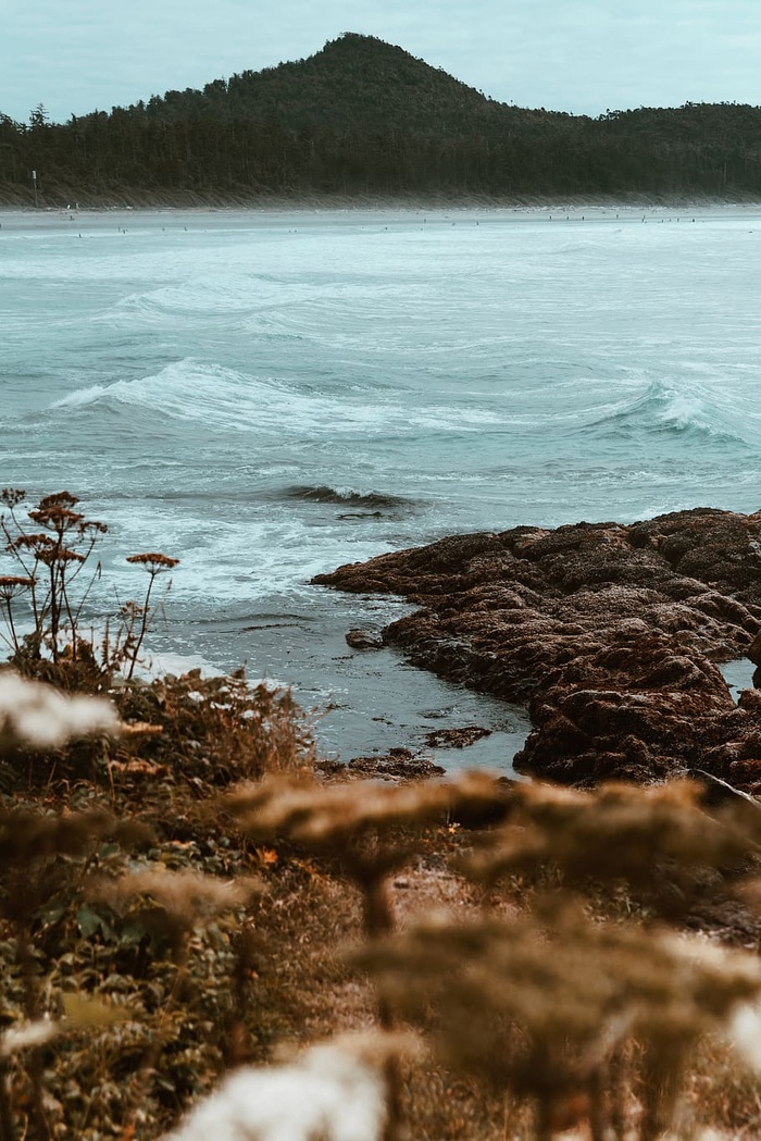 秋天海岸照片