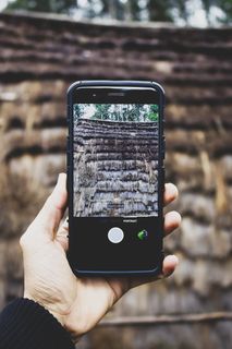 oneplus 5、智能手机、壁纸、小屋、房子、丛林、画中画、佳能