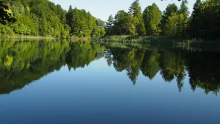 克罗地亚国家公园，普利特维兹湖，自然，名胜，瀑布，瀑布，水域