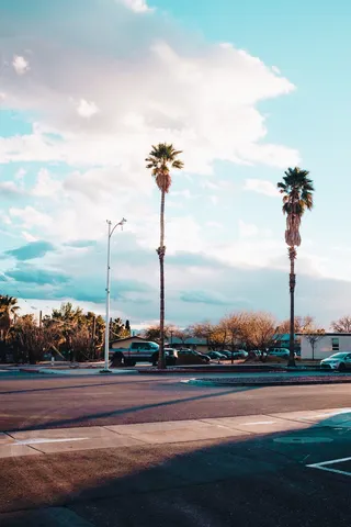 博尔德城，美国洛杉矶，加利福尼亚州，棕榈树，棕榈树