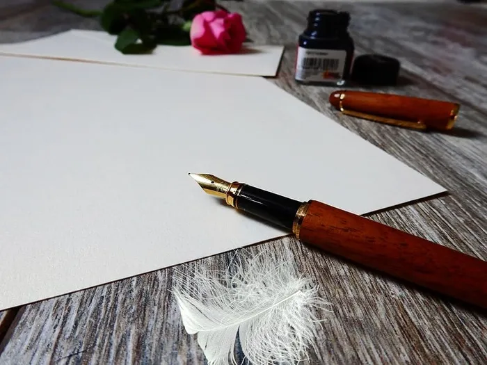 纸上的棕色钢笔