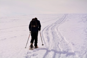 孤独、疲劳、攀登、雪、冬天、寒冷、冰、寒冷的温度