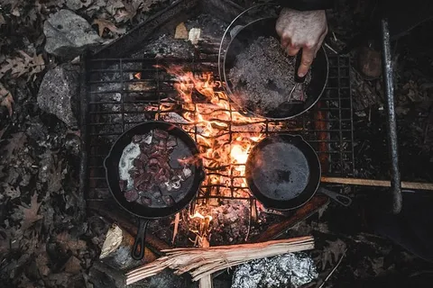 烤架、营地、食物、罐头、平底锅、烟、炉排、火焰 烤架、营地、食物、罐头、平底锅、烟、炉排、火焰
