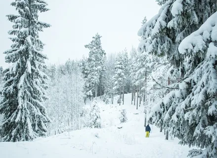 冬天, 冰, 冰冷, 冷, 雪, 圣诞节, 友谊, 黄色 冬天, 冰, 冰冷, 冷, 雪, 圣诞节, 友谊, 黄色