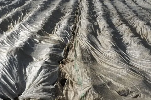 蔬菜羊毛，收获，羊毛，滑梯，农业，蔬菜种植，蔬菜，折叠