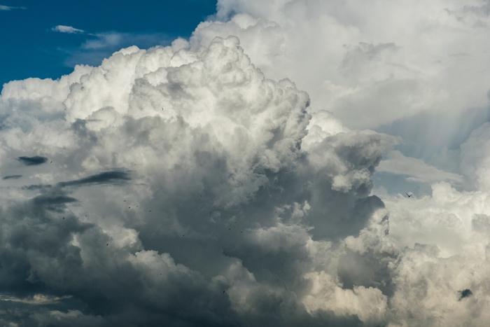 云，天气，查找，天空，cloudporn，天空，skyporn，多云