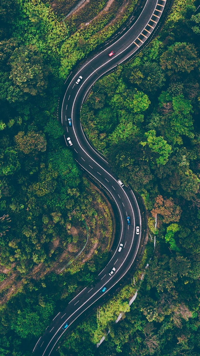 树木中路鸟瞰图