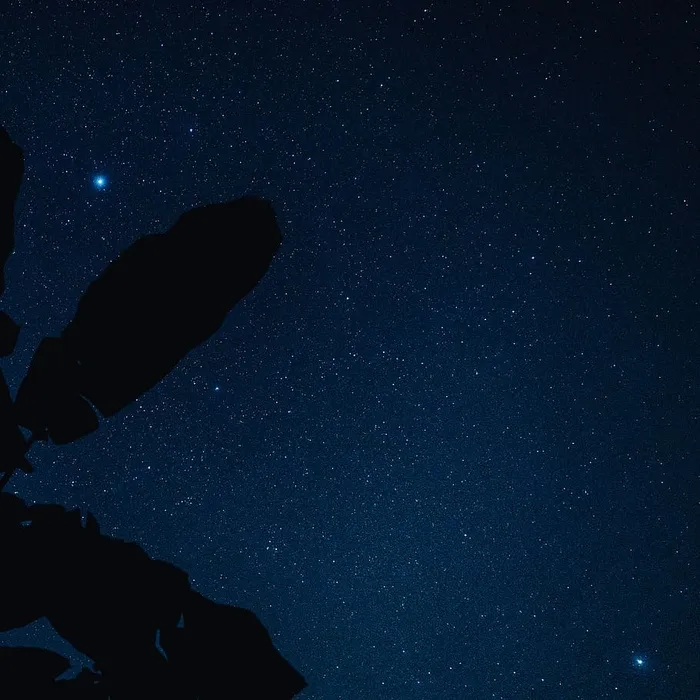 夜，空间，星星-空间，天文学，天空，风景-自然，星星，自然之美