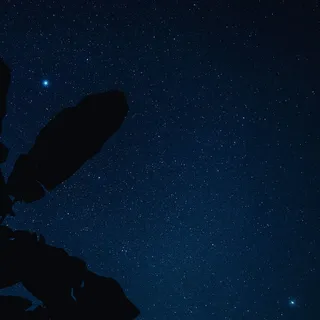 夜，空间，星星-空间，天文学，天空，风景-自然，星星，自然之美