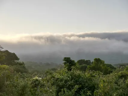 希美尔,自然,云,风景,森林,树,美丽,坦桑尼亚 希美尔,自然,云,风景,森林,树,美丽,坦桑尼亚