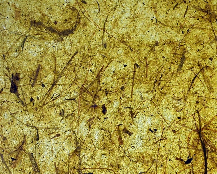 涂鸦艺术品、纸张、背景、香蕉、树皮、黄色、绿色、复古