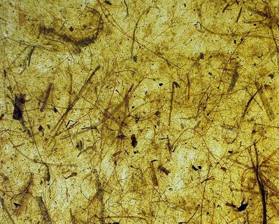 涂鸦艺术品、纸张、背景、香蕉、树皮、黄色、绿色、复古