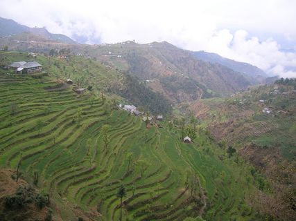 哇，自然，美丽，自然，人，一，肖像，惊喜