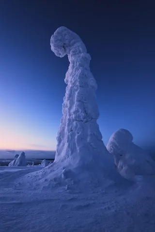 巴特的选择性聚焦摄影